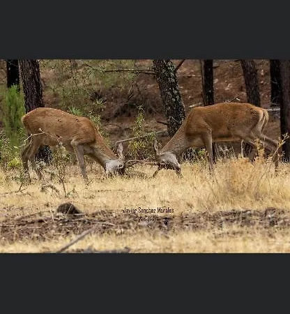 Sueños De Monfrague Casa rural *