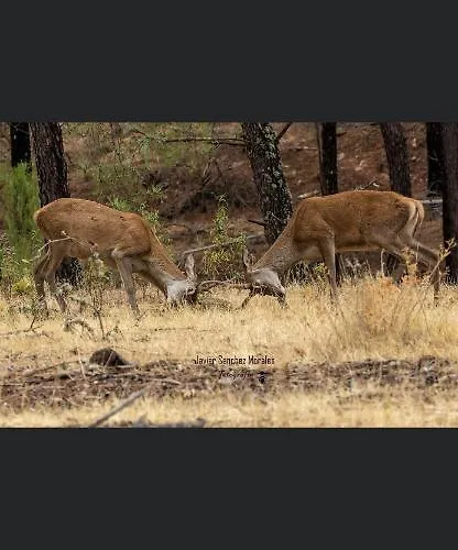 Suenos De Monfrague Séjour à la campagne *